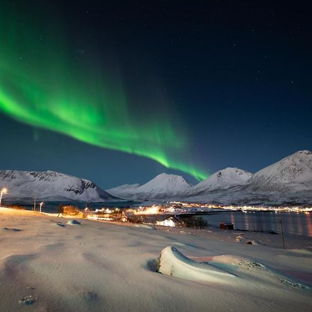 Tromtind Lodge Тромсё Экстерьер фото