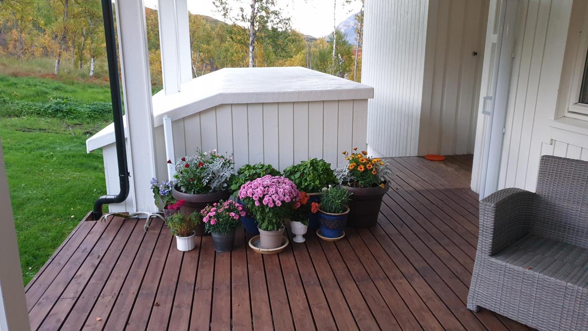 Tromtind Lodge Тромсё Экстерьер фото
