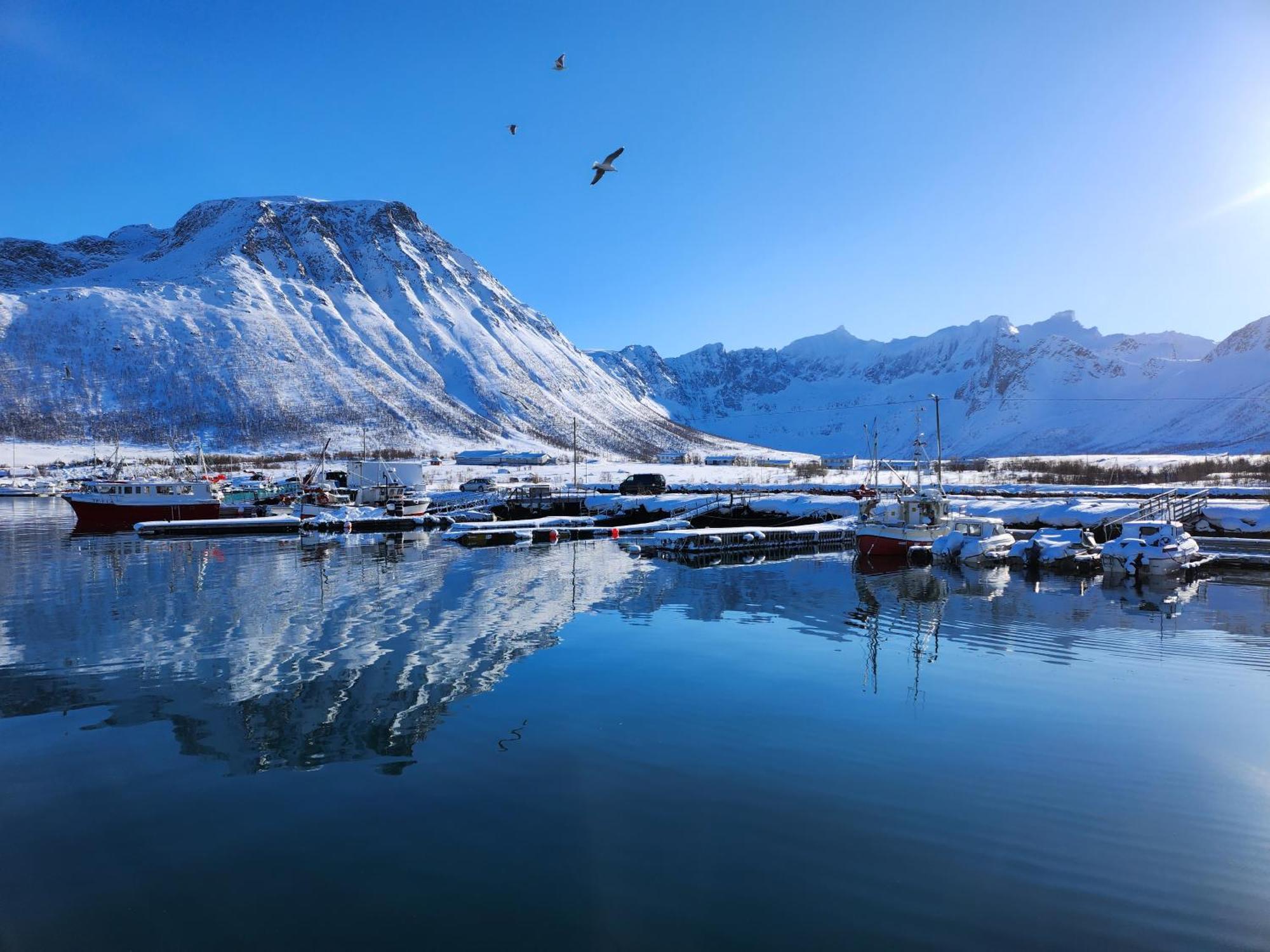 Tromtind Lodge Тромсё Экстерьер фото